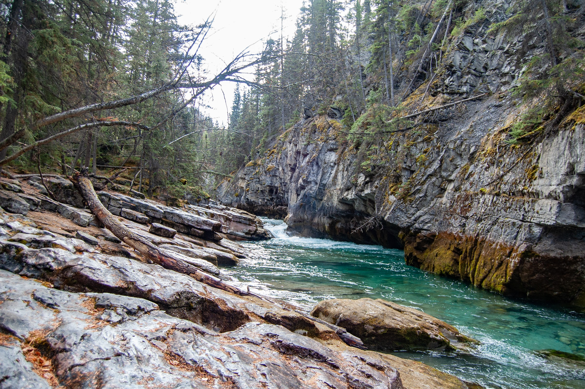 Maligne Canyon, Jasper National Park