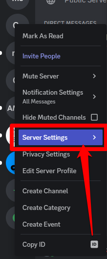 Image showing the the Server Setting tab on Discord
