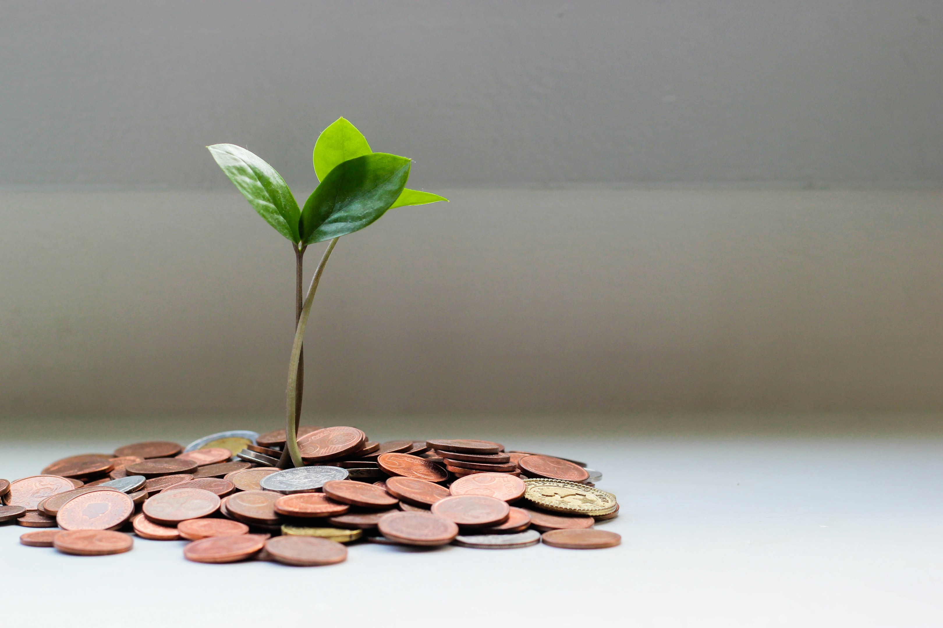 Raising Capital for Real Estate — The Clear, Practical Playbook