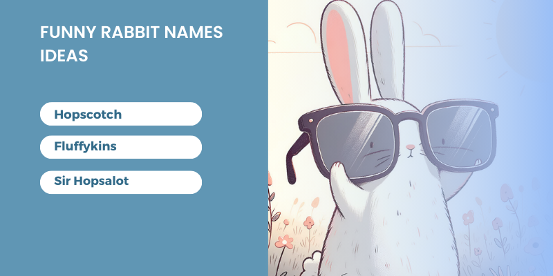 Funny Rabbit Name Ideas