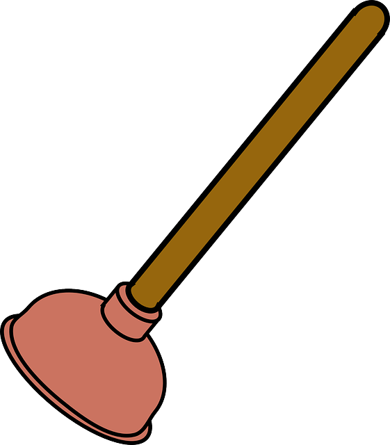 Easy Ways to Clean and Sanitize a Plunger