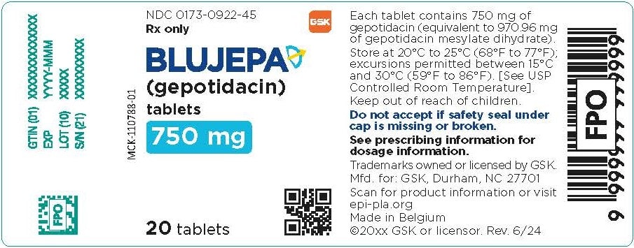 An overview of what is blujepa and its significance.