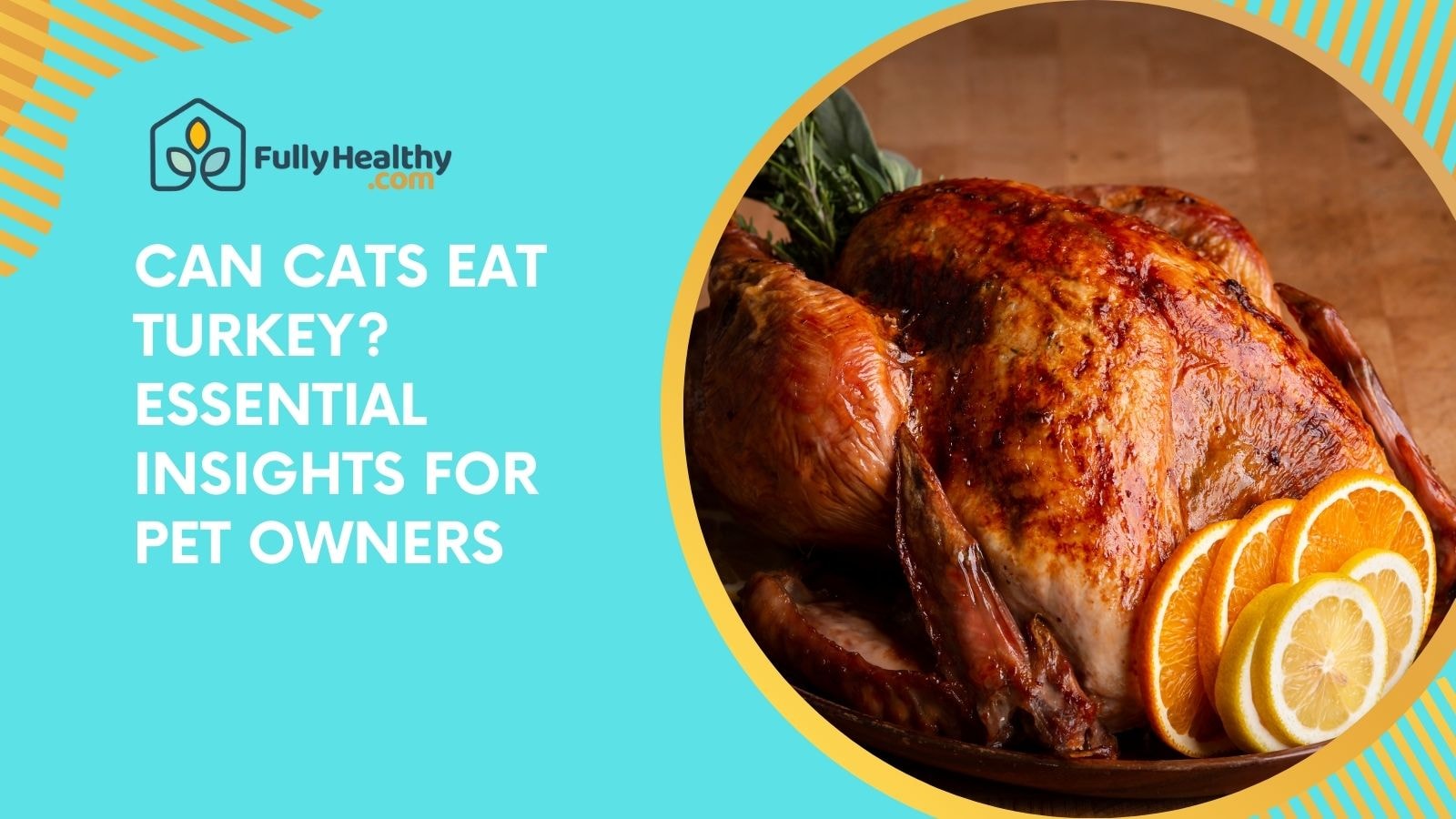 Can Cats Eat Turkey? Essential Insights for Pet Owners