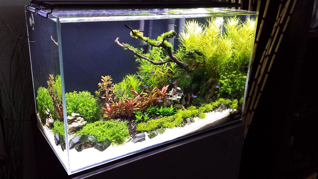 how often you should change your water depends on few factors