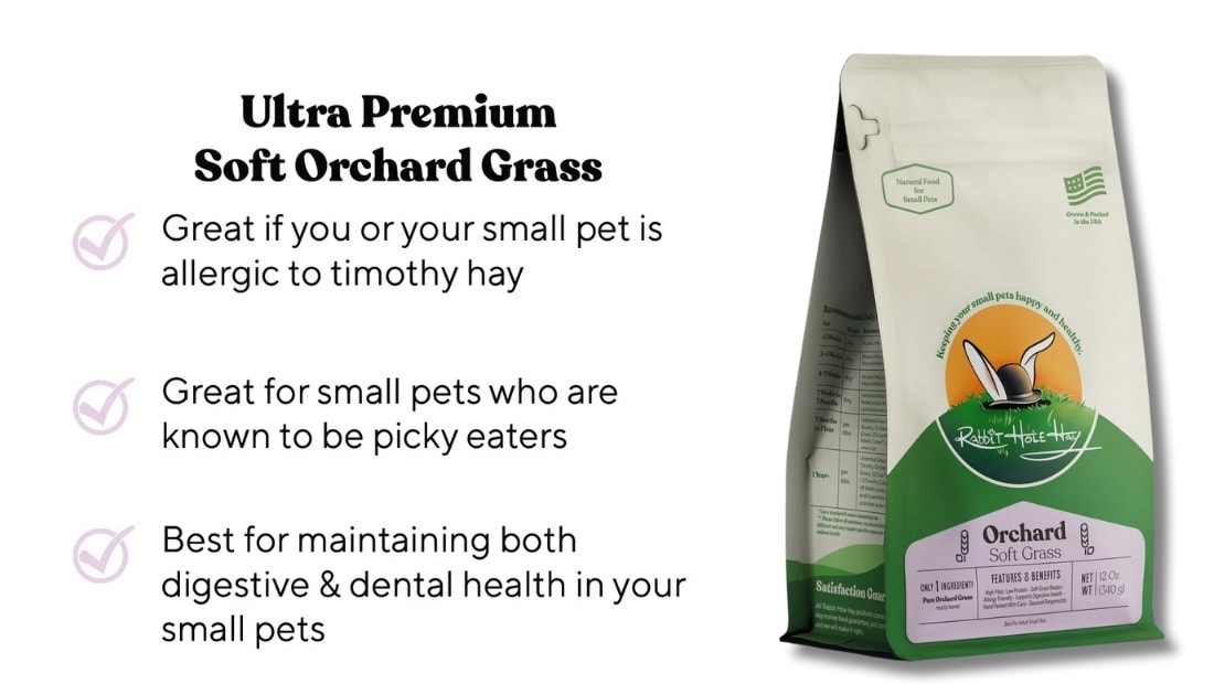 ultra premium soft orchard grass