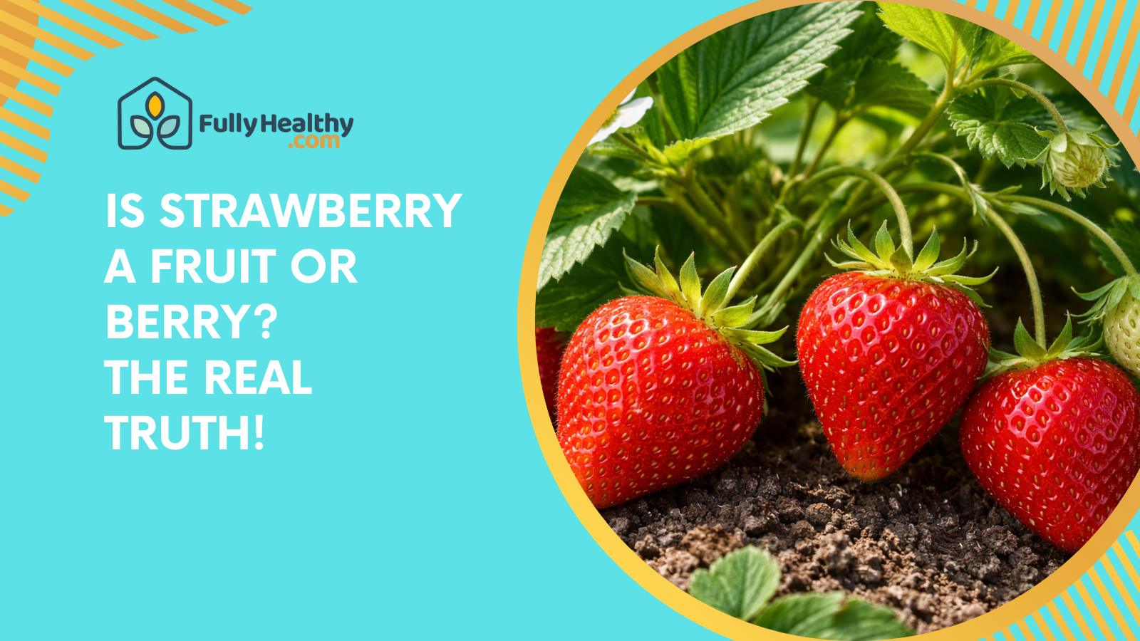 Is Strawberry A Fruit Or Berry? The Real Truth!