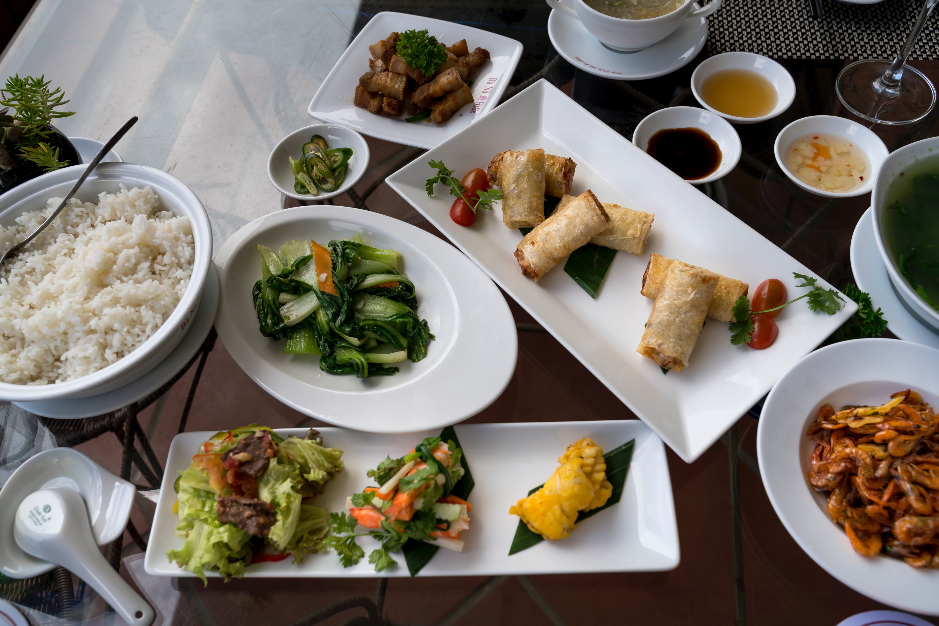 Thai cuisine spread showcasing a variety of flavourful dishes including spring rolls, jasmine rice, and more.