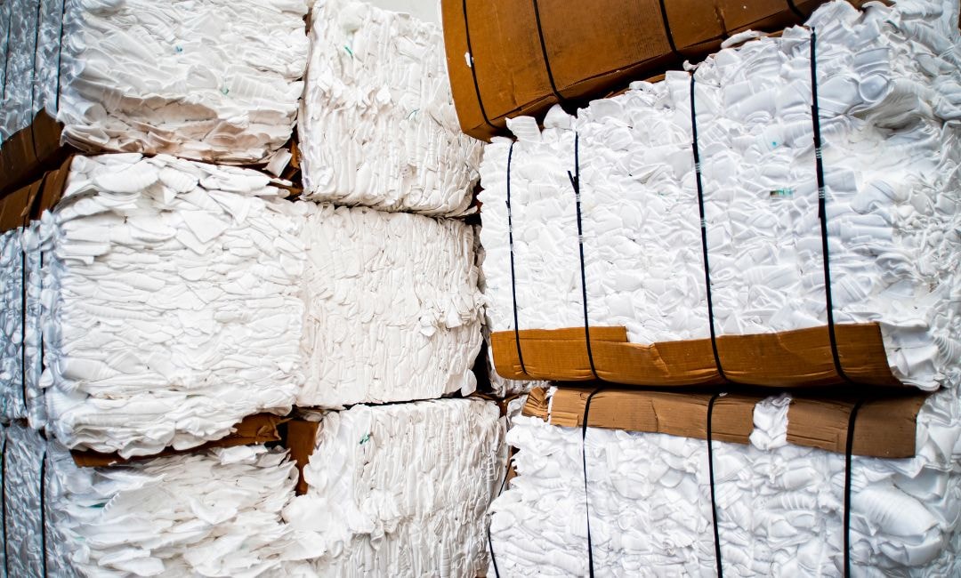 Is Styrofoam Recyclable? How to Dispose of it Properly 3 foam trays
