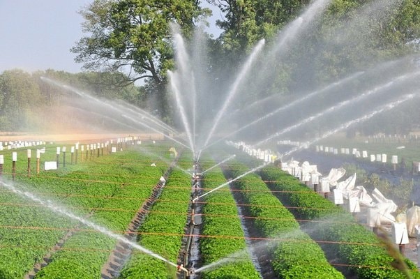 most efficient irrigation system 