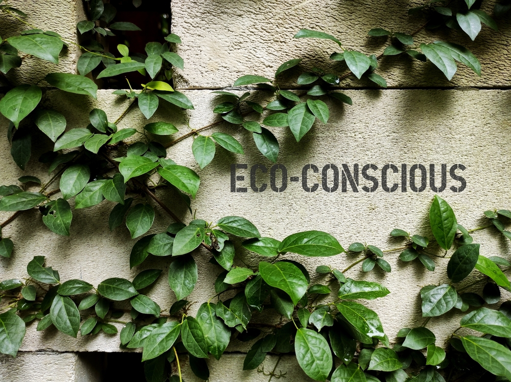 eCommerce brands will start becoming eco-friendly in the future