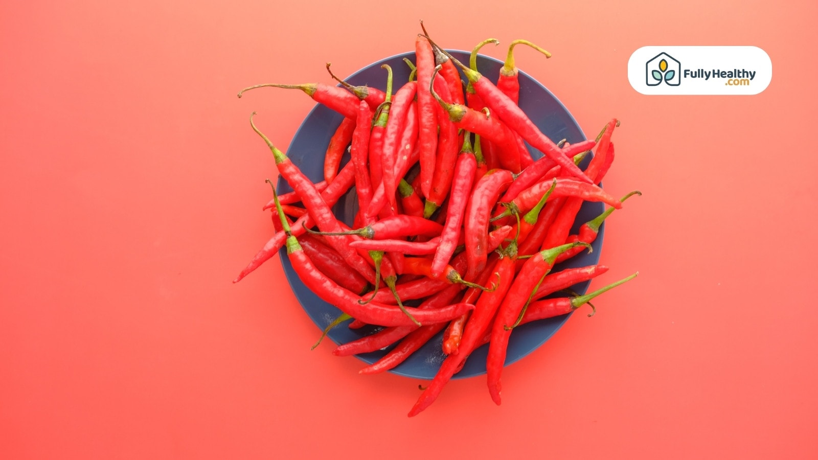 Fresh red chilies in blue bowl on vibrant red background