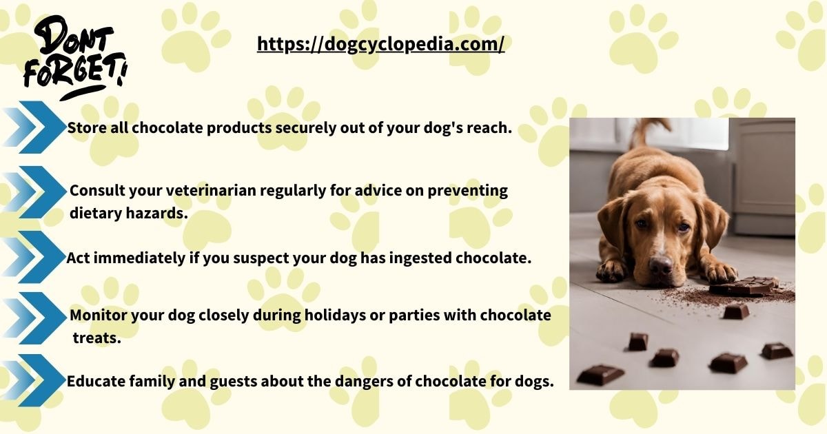 Reminder graphic with safety tips for preventing chocolate poisoning in dogs, featuring a concerned dog next to scattered chocolate pieces.