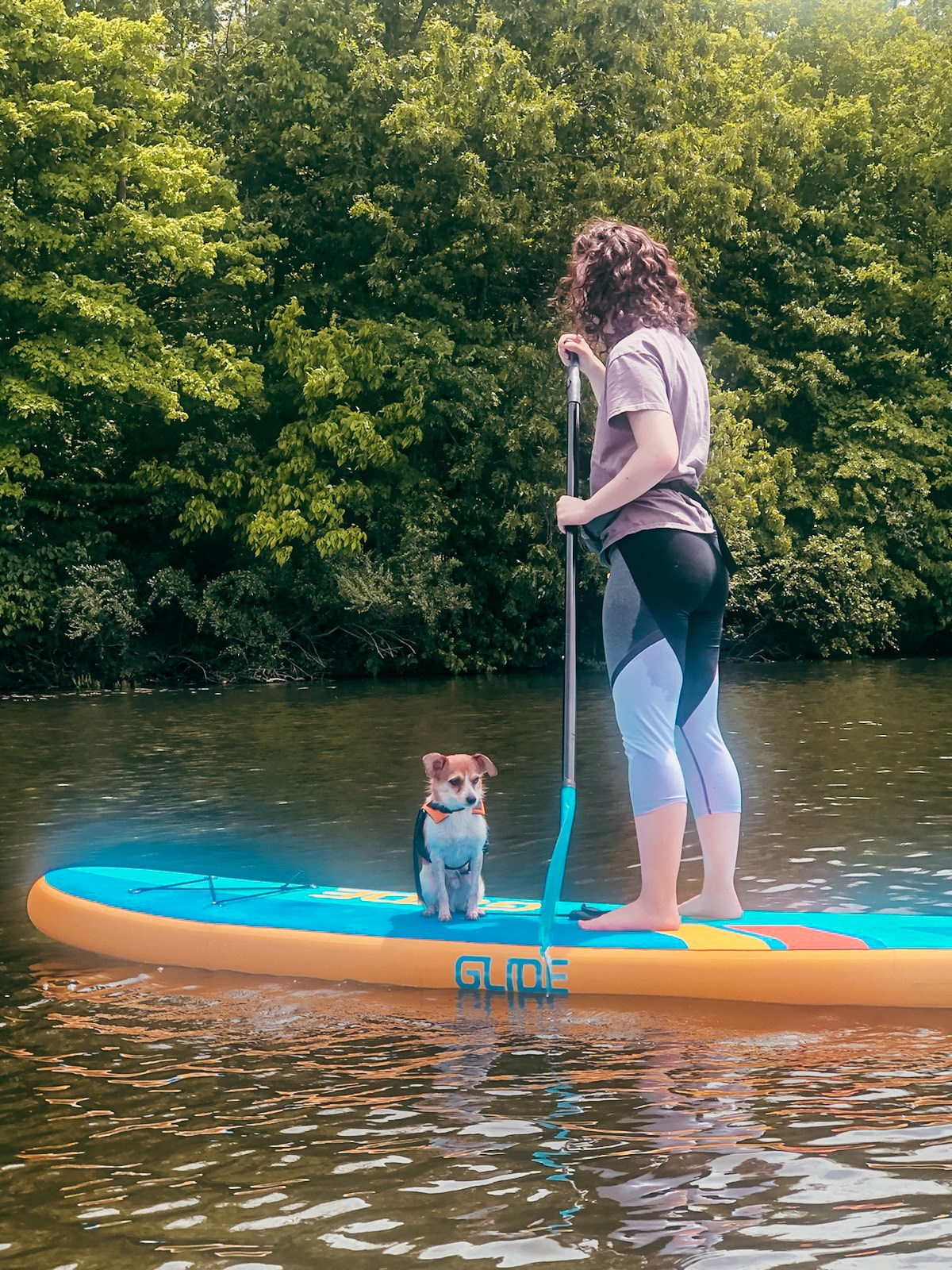 dog on an inflatable stand up paddle board