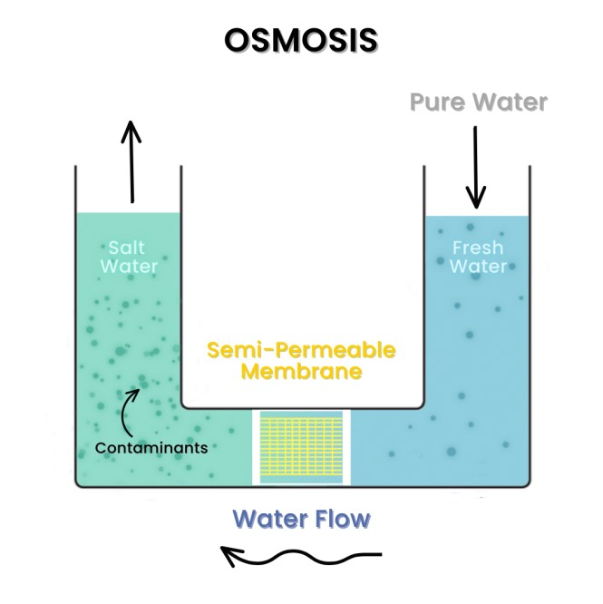 5 Best tankless reverse osmosis system for 2023 - Dr Alice Williams