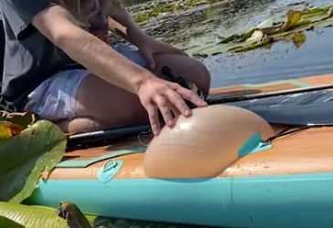 inflatable board 