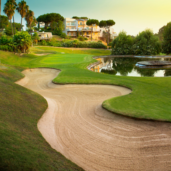 Image of a cleared land on a golf course adding strategic challenges.