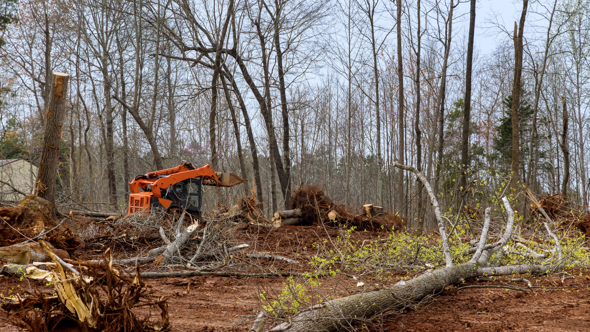 A skid steer being used to clear land.