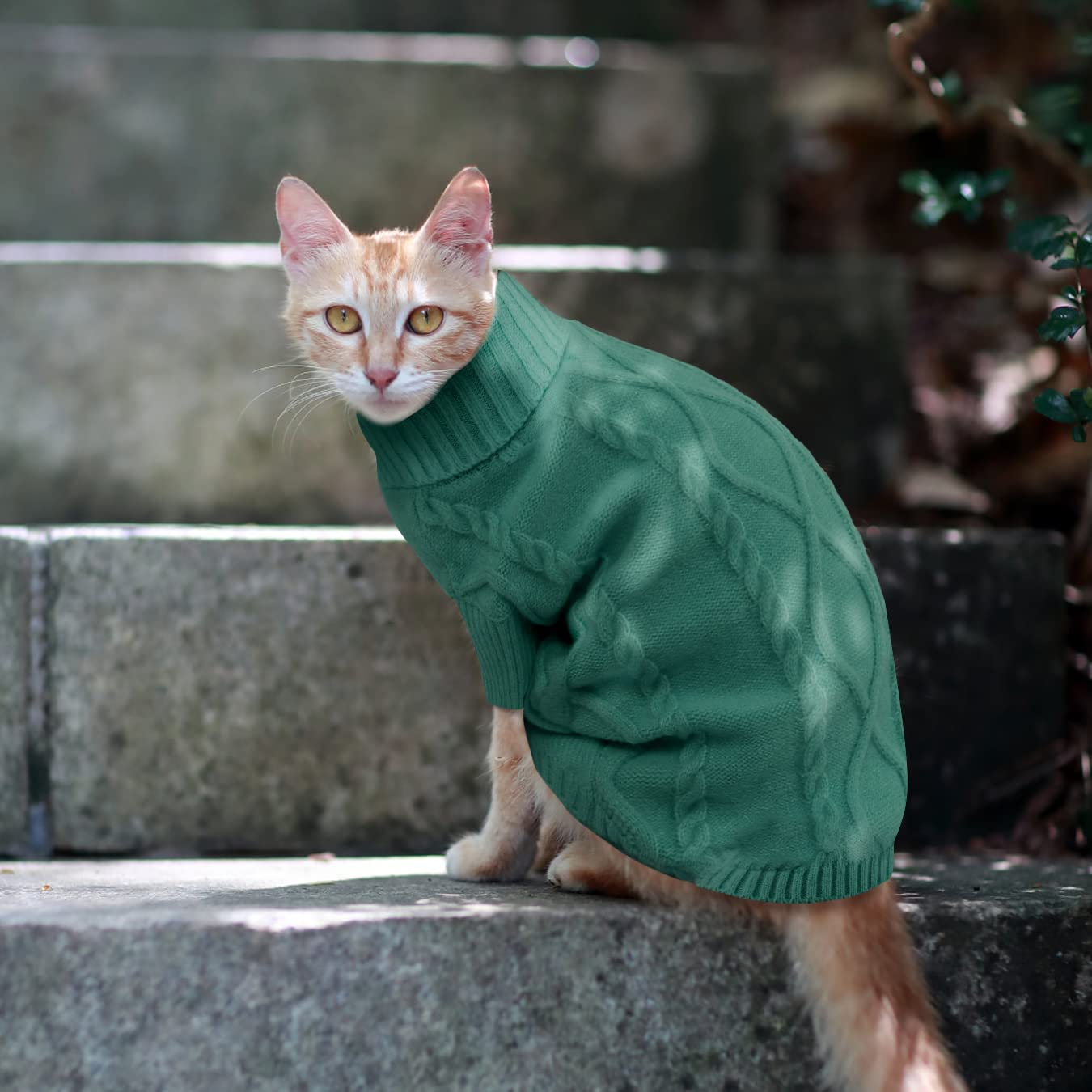 Cat Sweaters