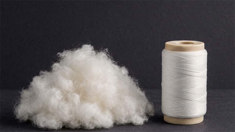 Raw Polyester Fibers and Yarn