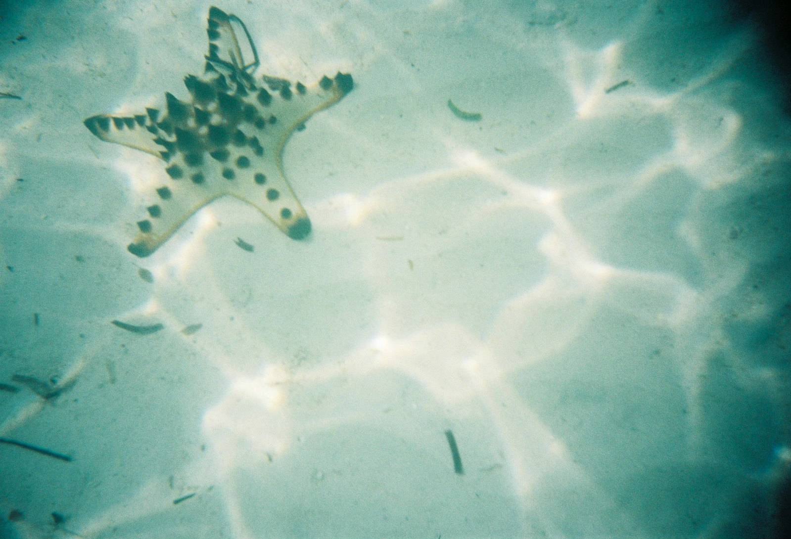 The shore is very shallow so you can enjoy the fresh and marvelous water by remaining in the sand.