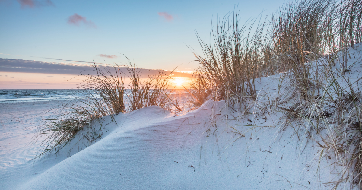 Peaceful beach scene with sea grass and soft sand dunes at sunrise in North Wildwood, NJ — perfect for showcasing the year-round beauty of summer and winter rentals at Regency Towers.