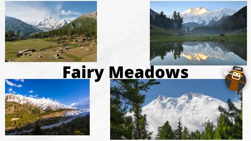 Fairy Meadows Pakistan mountains in pakistan
