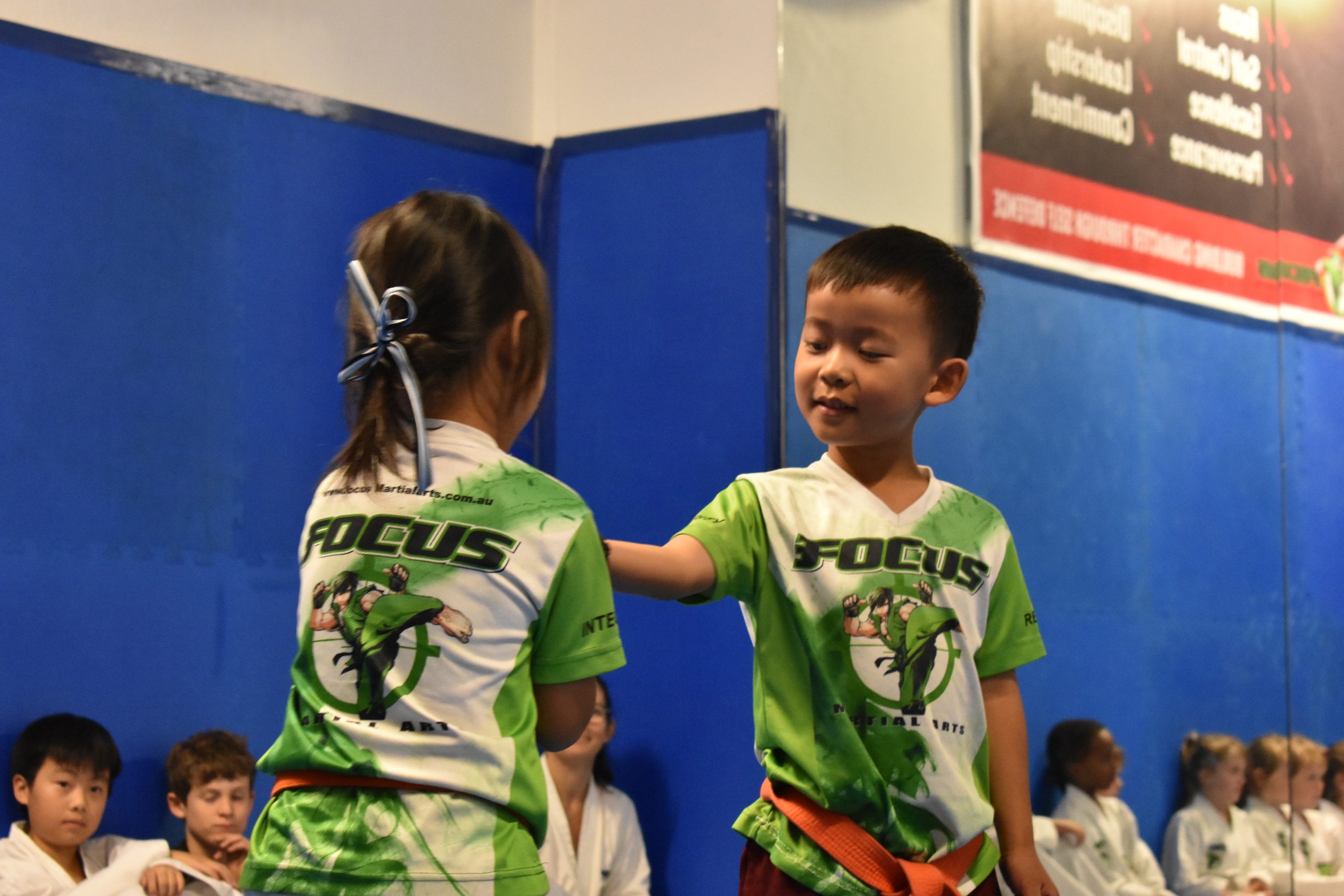 Common martial arts most frequent questions which is best for street fights, self-defense styles, learning online, and training cost.