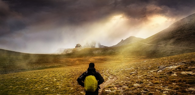 nature, outdoors, sunset