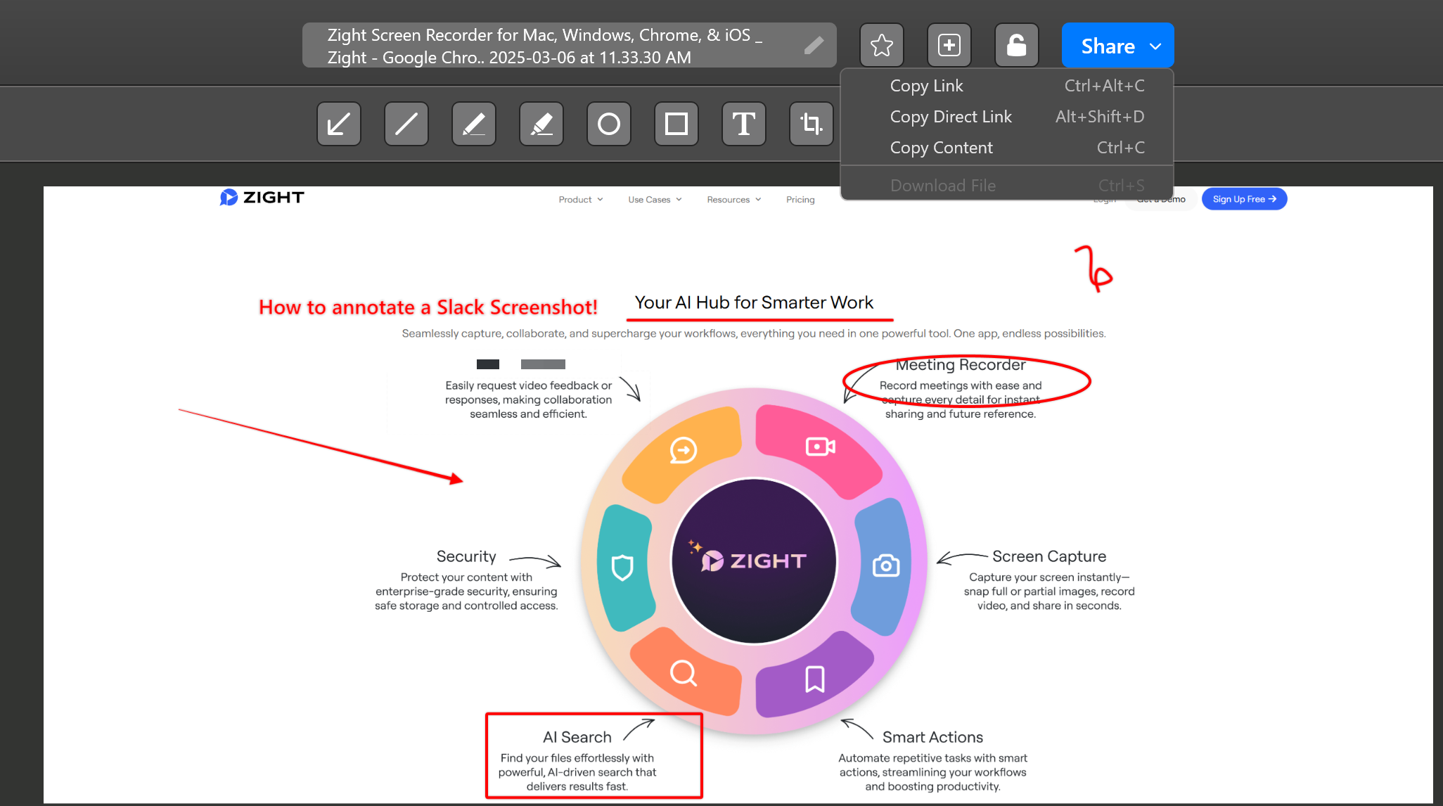 Annotated screenshot sharing options on Zight
