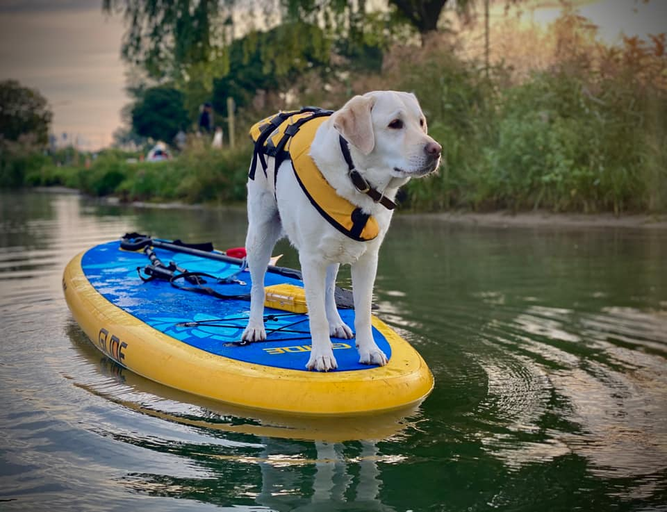 fishing rod holder on high performance boards and kayak conversion kit