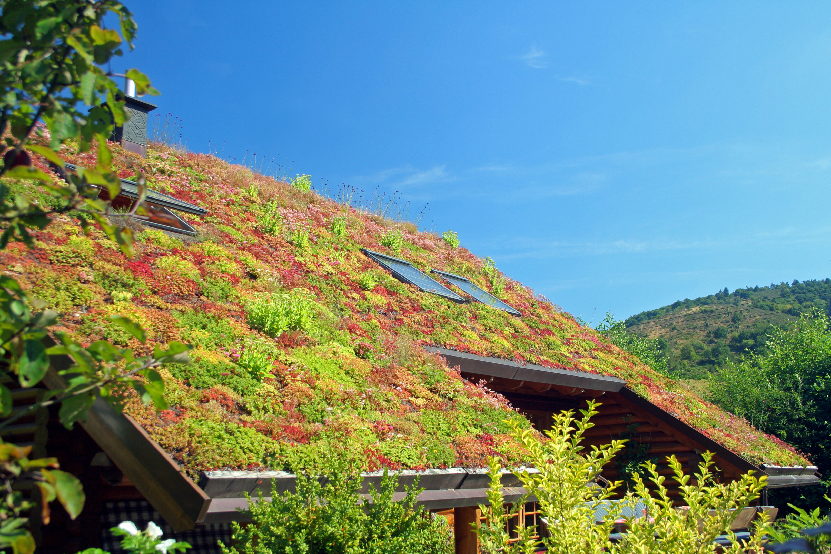 Krijg vlinders in de buik met de aanleg van je nieuw duurzaam hellend dak