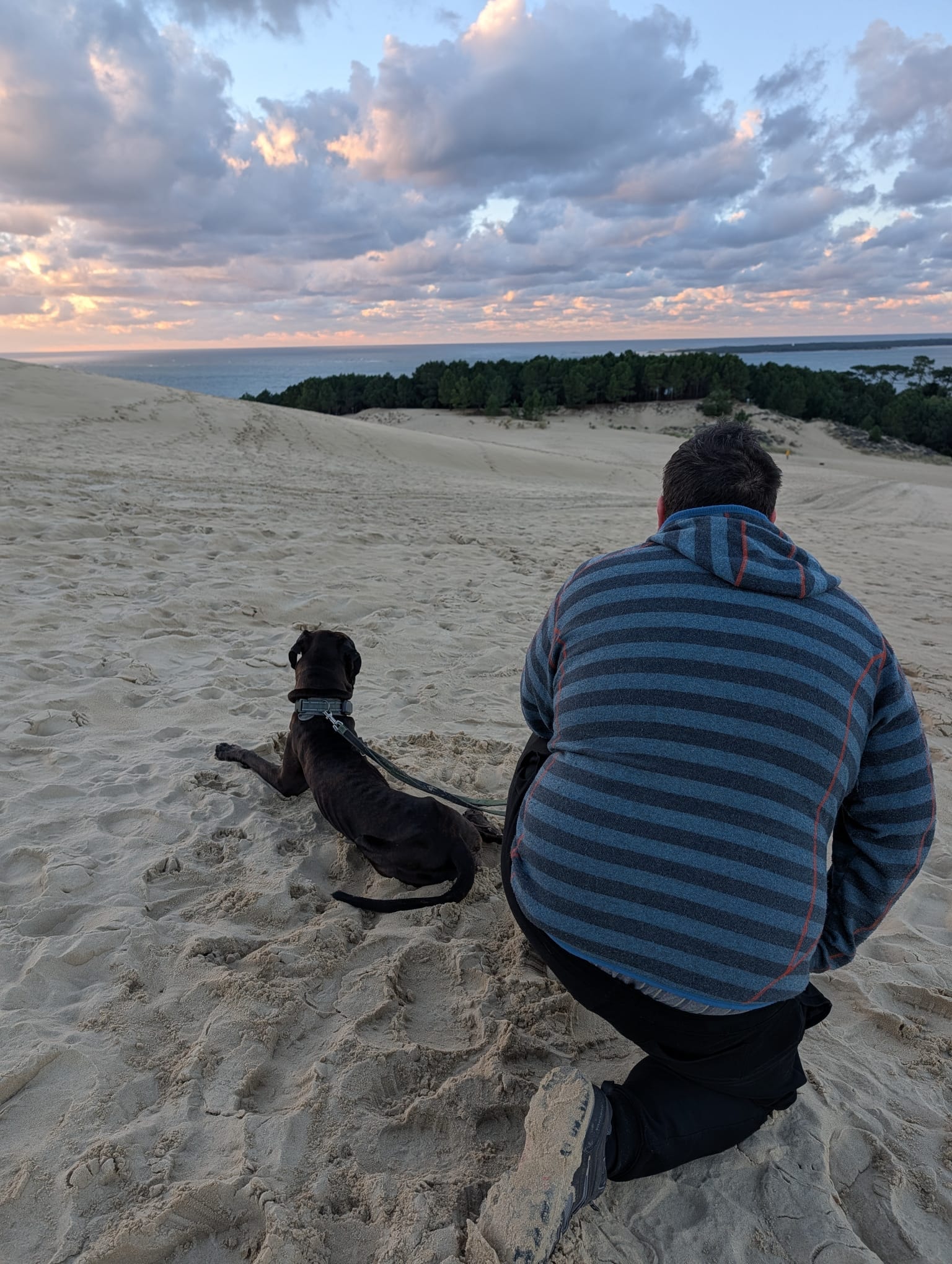 Auf dem Dünenkamm der Düne von Pilat haben wir die Aussicht genossen, nachdem wir den echt harten Aufstieg gemeistert haben. Hunde sind auf der Düne willkommen, müssen aber angeleint sein. Die Umgebung ist geprägt von der Weite der Landschaft und dem Kiefernwald, der die Düne umgibt.