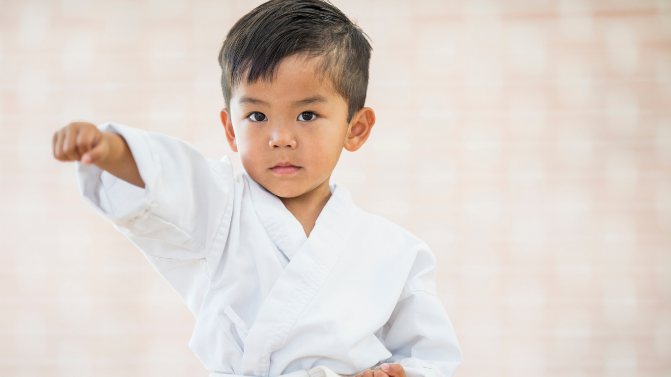 martial art, martial arts,  martial arts training,  martial arts school, teach kids