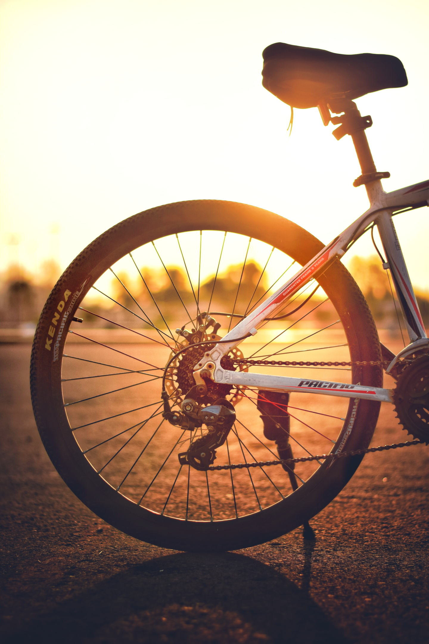 Parte traseira da bicicleta, mostrando o pneu e o aro. Créditos: Pexels, Haydan As-soendawy