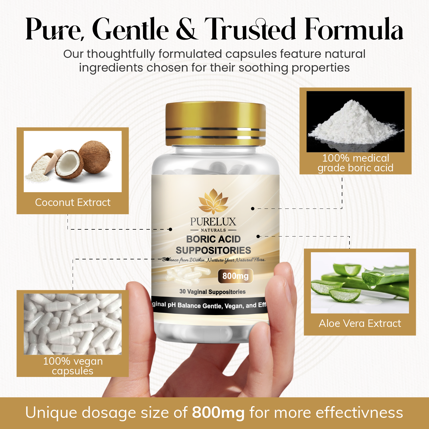 Close-up image of a woman’s hand holding a PureLux Naturals boric acid suppository bottle, symbolizing trust, clarity, and product confidence