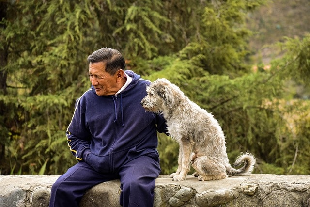 Aging Services for Older Adults