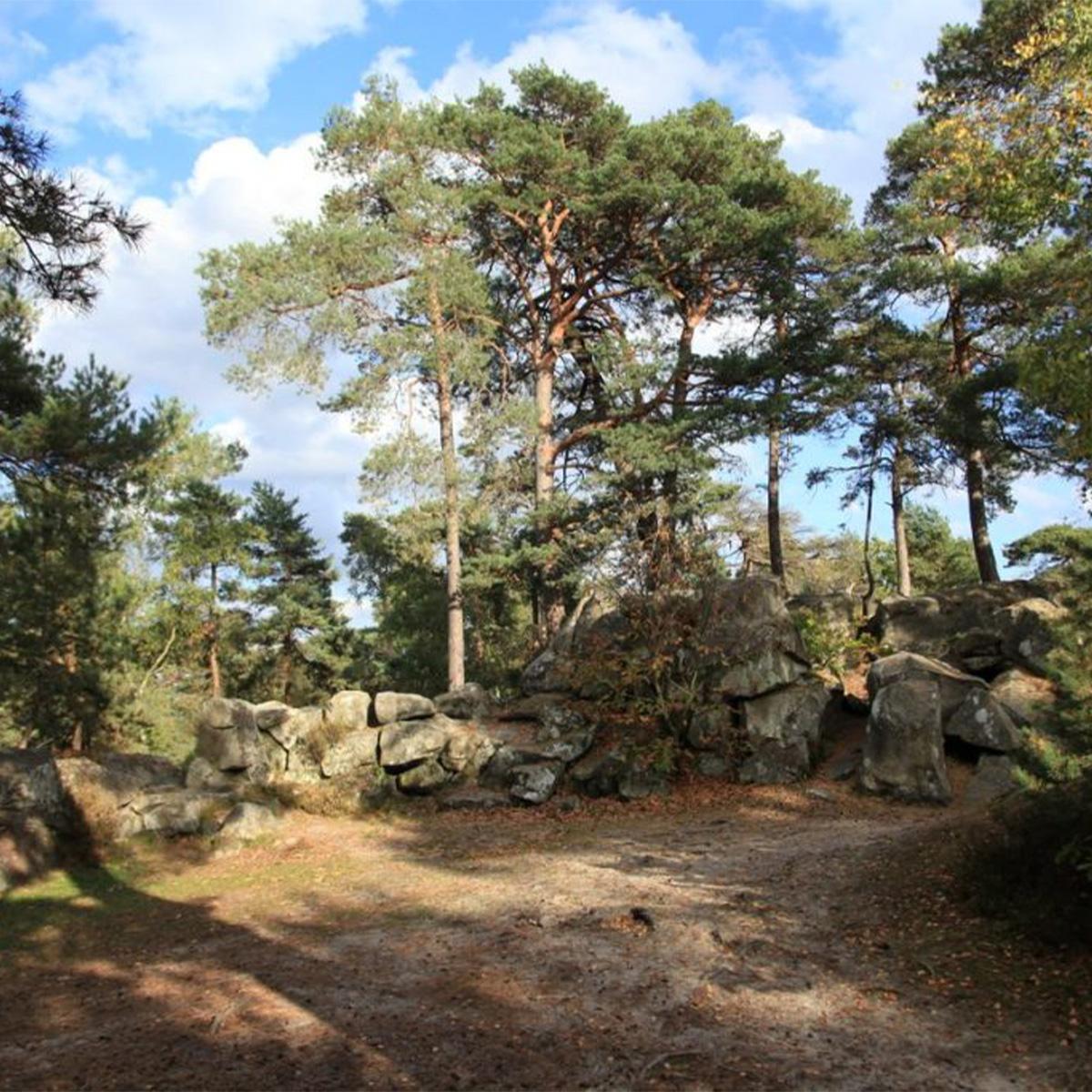 forêt de fontainebleau rando paris