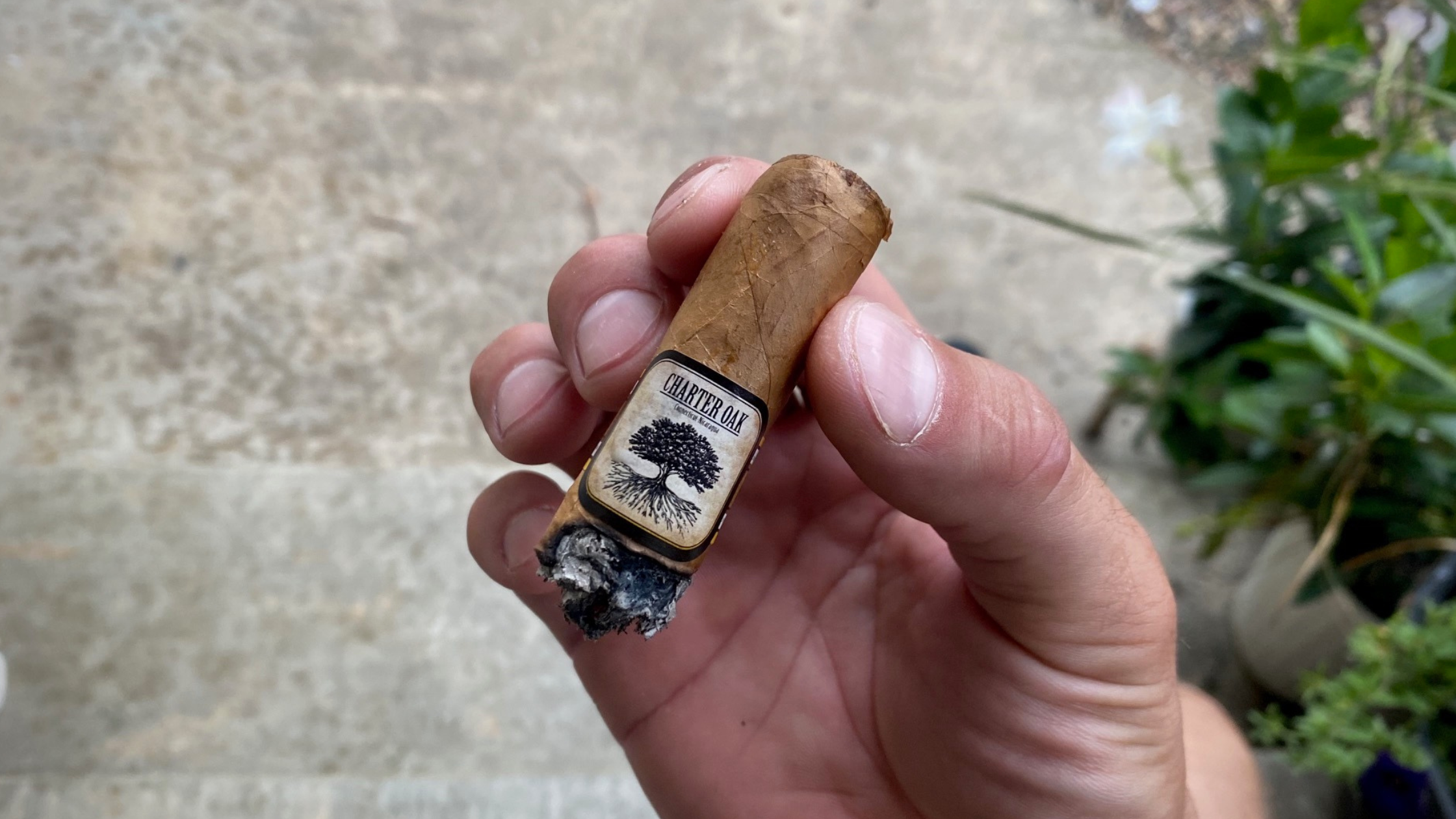 Foundation Charter Oak Connecticut Final Verdict