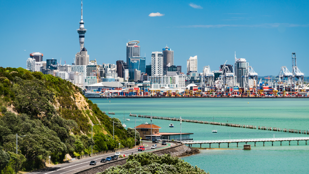 A picture of a person exploring the vibrant city of Auckland New Zealand