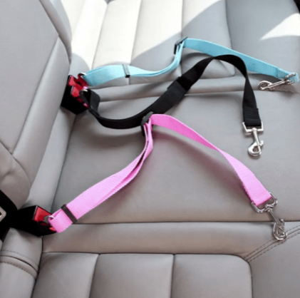 Dog seat belt for the car in pink blue and black colours