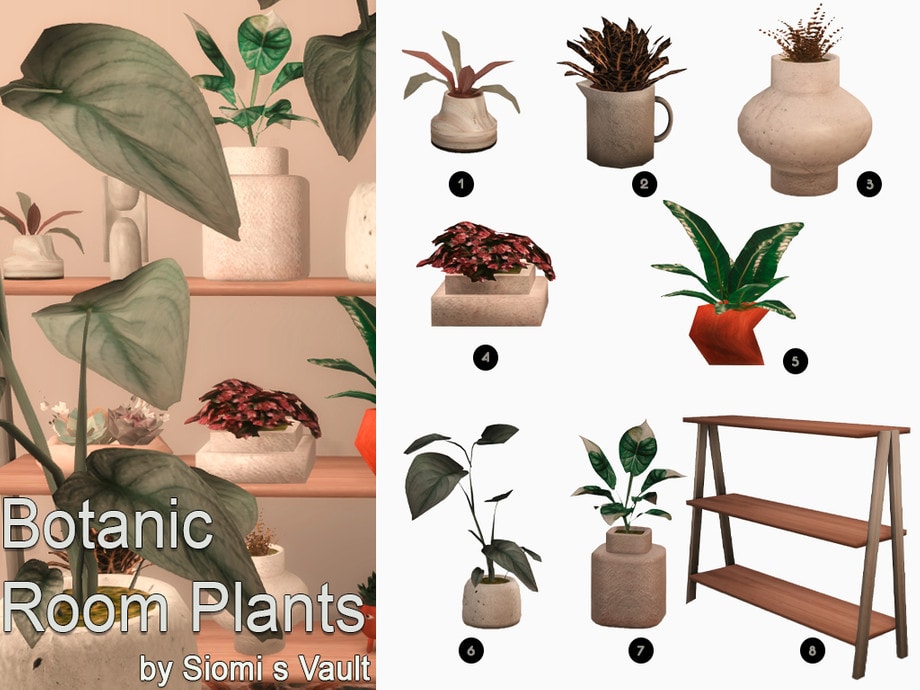 Botanic Room Plants