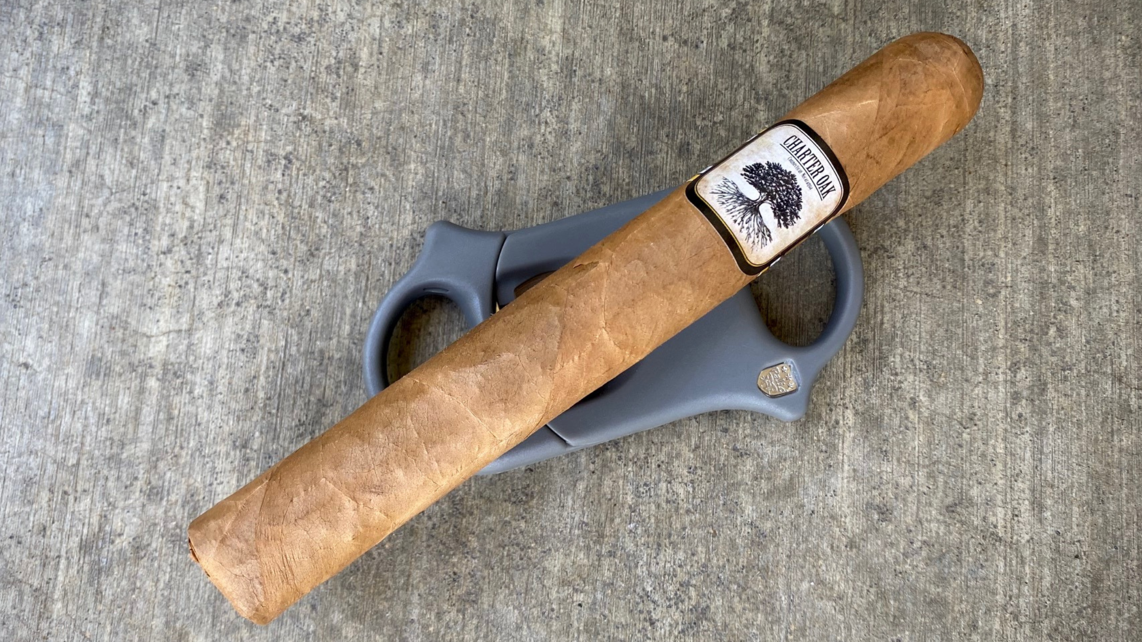 Foundation Charter Oak Connecticut First Impressions