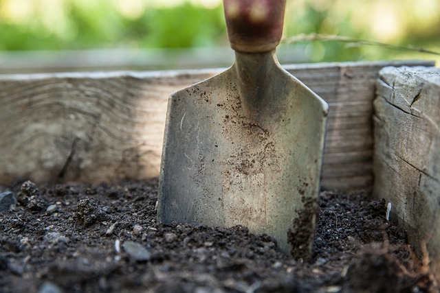 Florida has many soil types, so be sure you have planted your tree in the correct one