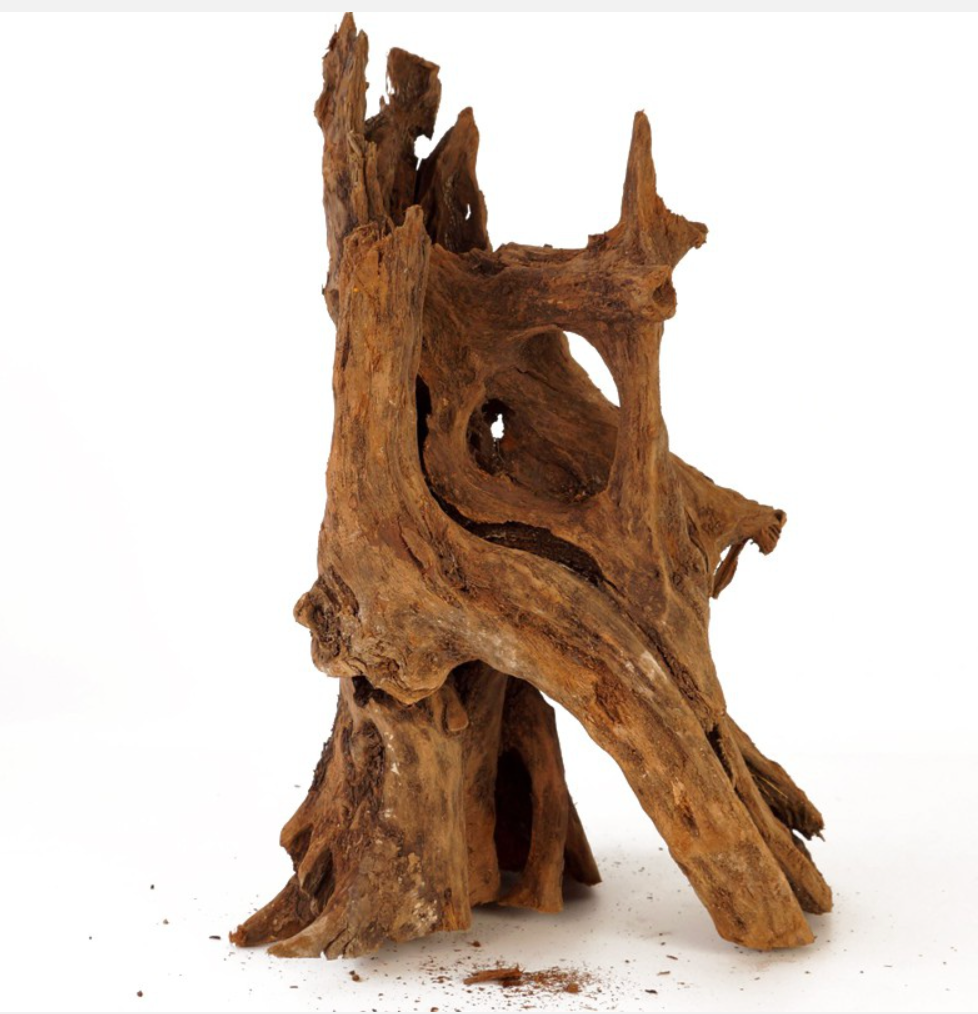 5 types of aquarium driftwood you can find on the market CO2Art Aquarium CO2 System Specialists