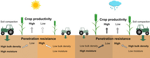 Illustration of soil compaction impact on crop yield