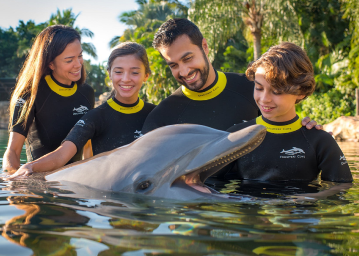 visit discovery cove
