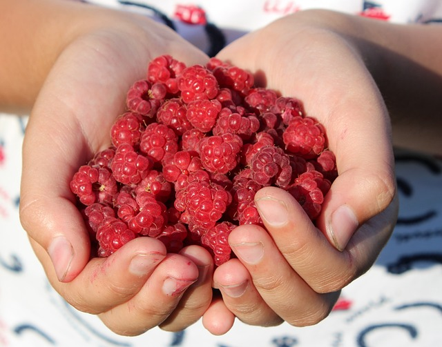 raspberry, berry, handful