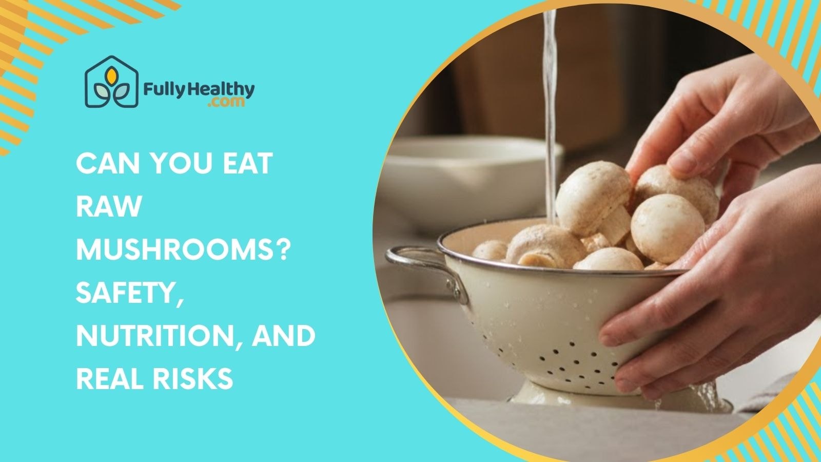 Can You Eat Raw Mushrooms? Safety, Nutrition, and Real Risks