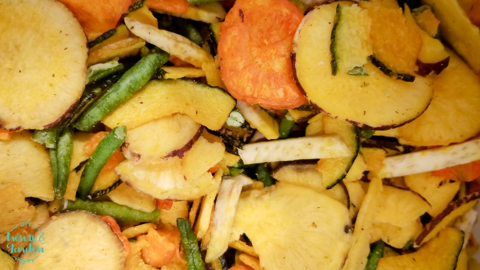 batches of veggies freeze dry