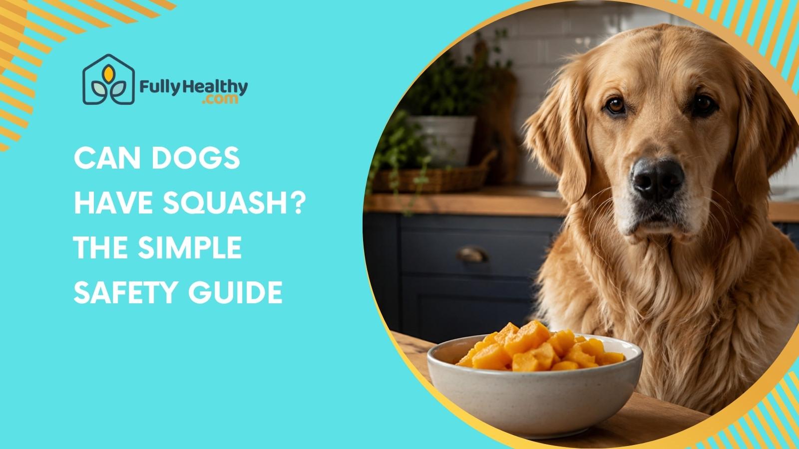 Can Dogs Have Squash? The Simple Safety Guide